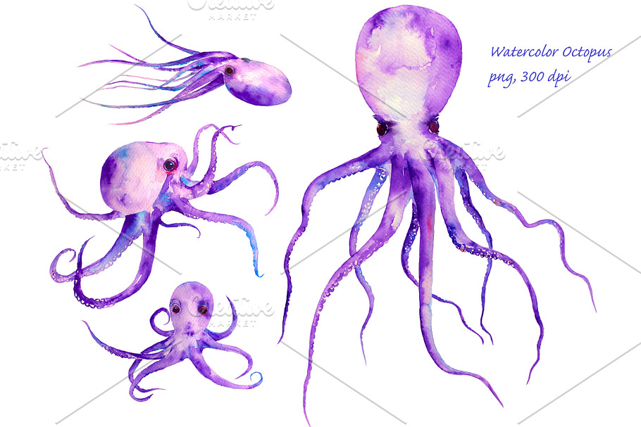 Watercolor Purple Octopus Clipart in Objects - product preview 8