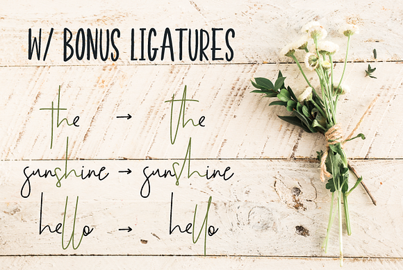 Hearth & Home Font Duo in Whimsical Fonts - product preview 7