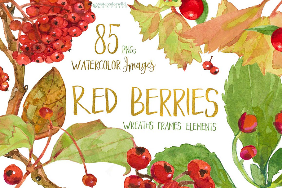 Red Berries-watercolor design set in Illustrations - product preview 8