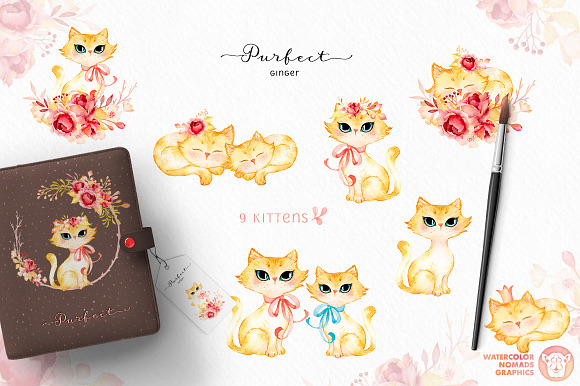 Purfect Ginger Watercolor Design Kit in Illustrations - product preview 1