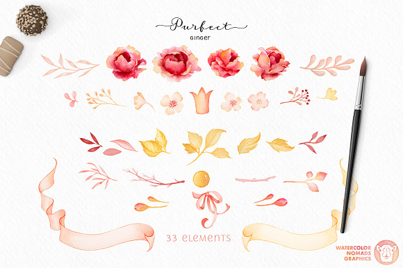 Purfect Ginger Watercolor Design Kit in Illustrations - product preview 4