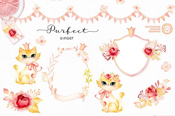 Purfect Ginger Watercolor Design Kit in Illustrations - product preview 6