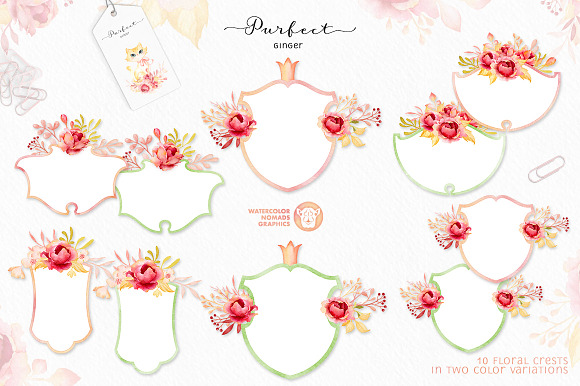 Purfect Ginger Watercolor Design Kit in Illustrations - product preview 8