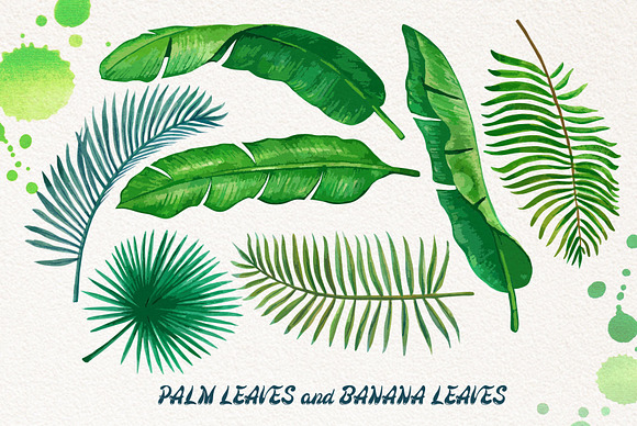 Palm and Banana Leaves Patterns in Patterns - product preview 1