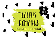 Cactus Romanus Brush Casual Typeface