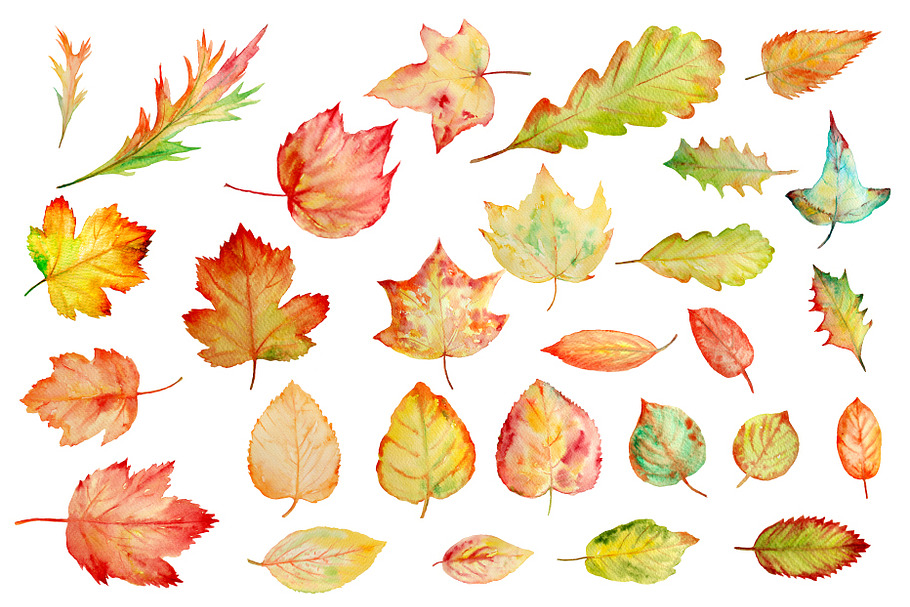 Watercolor Autumn Leaves Clipart in Illustrations - product preview 8