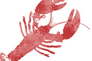 Lobster Illustration