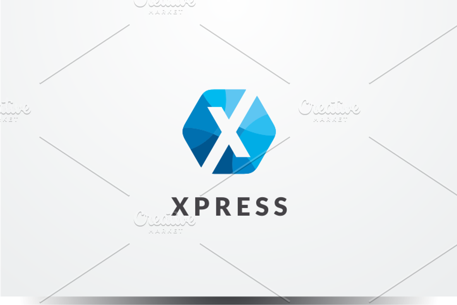 Letter X Logo in Logo Templates - product preview 8
