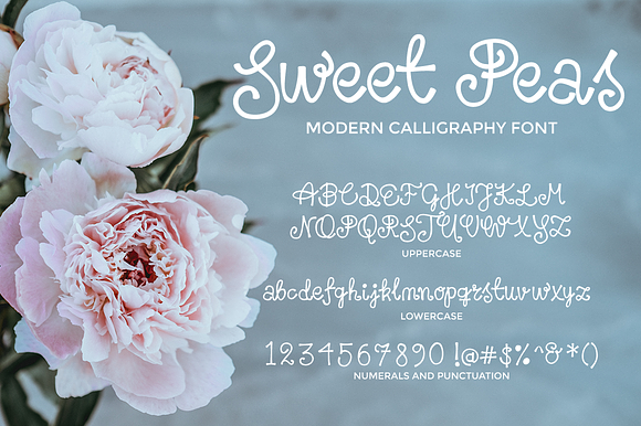Sweet Peas Font in Script Fonts - product preview 4