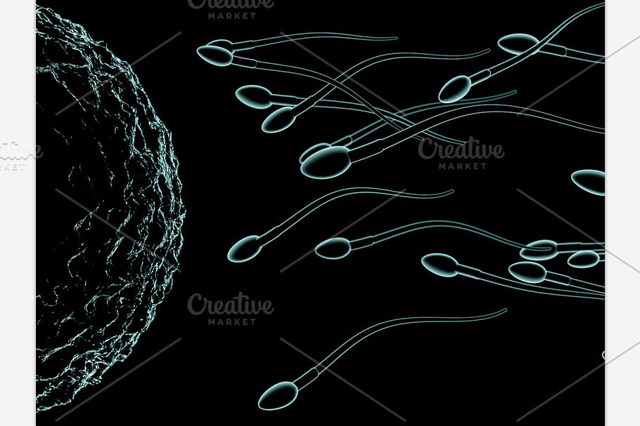 Sperm and egg cell microscopic