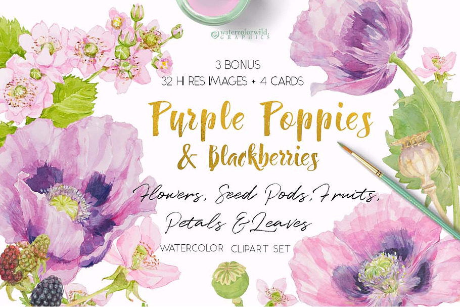 Purple Poppies&Blackberries-Clipart 
