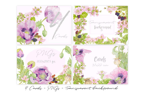 Purple Poppies&Blackberries-Clipart  in Illustrations - product preview 7