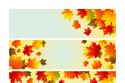 Vector autumn background design