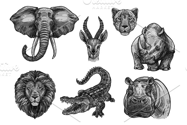 Wild animals vector sketch icons for African zoo