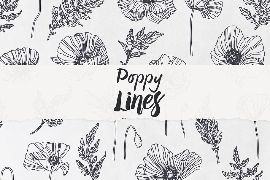 Poppy Lines