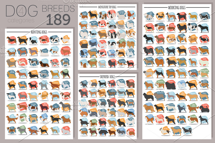 All dog breeds poster set in Illustrations - product preview 8