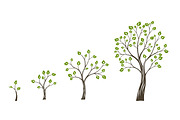 Green tree growth eco concept. Tree life cycle