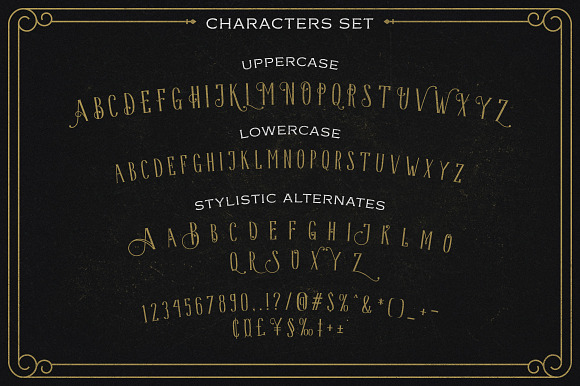 HavaShine Typeface with Extras in Display Fonts - product preview 3