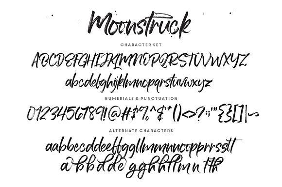 Moonstruck Handwriting + Extras in Script Fonts - product preview 8