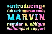 Marvin regular & oblique