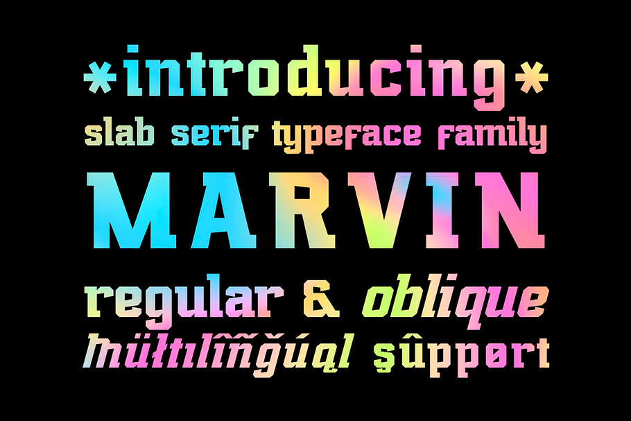 Marvin regular & oblique in Slab Serif Fonts - product preview 8