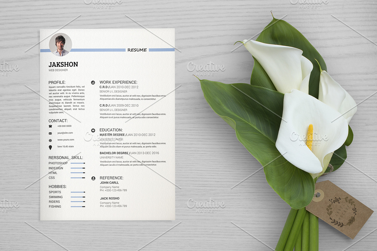 Resume Template-V042 in Resume Templates - product preview 8