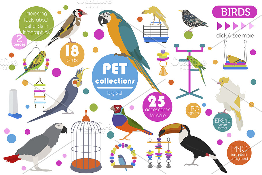 Pet Birds illustrations set