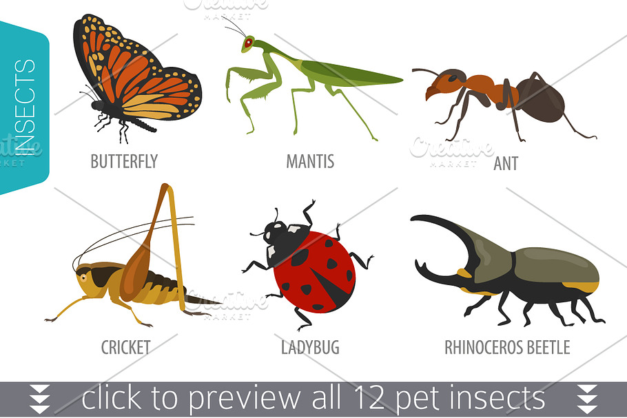Pet Insects illustrations set