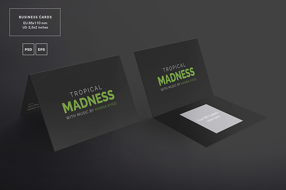 Branding Pack | Tropical Madness in Branding Mockups - product preview 1