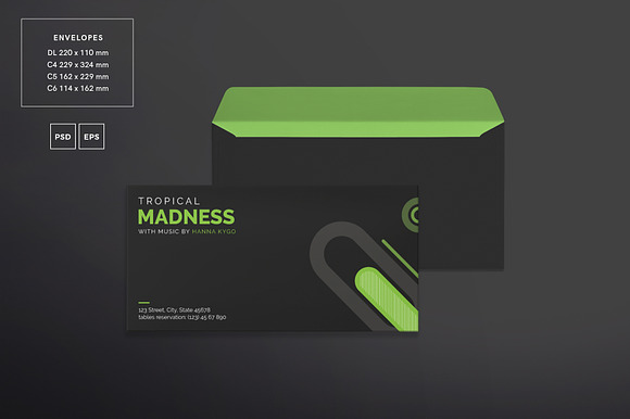 Branding Pack | Tropical Madness in Branding Mockups - product preview 5