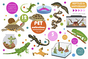Pet reptiles and amphibians set