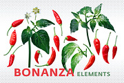 Ají Brazilian Bonanza elements