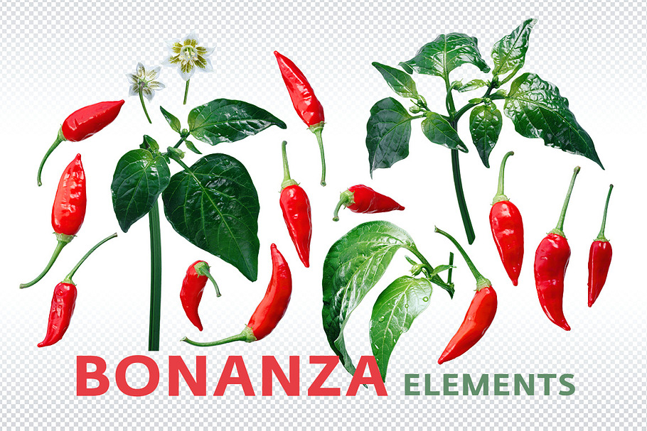Ají Brazilian Bonanza elements in Objects - product preview 8