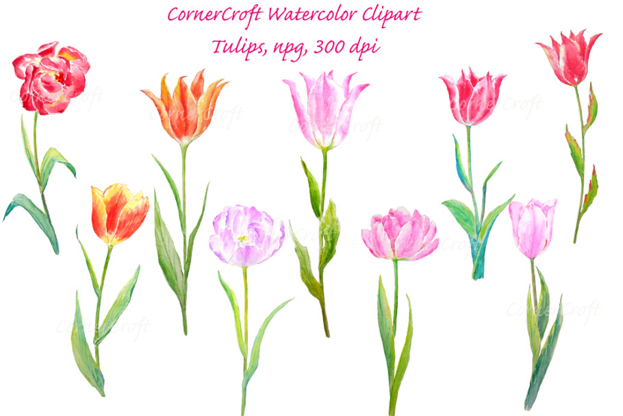 Watercolour Tulip Spring Flowers in Objects - product preview 8