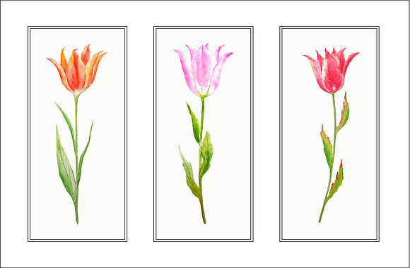 Watercolour Tulip Spring Flowers in Objects - product preview 1