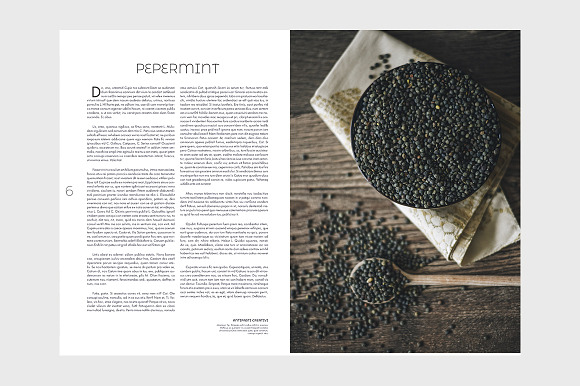 Pastrami Magazine Template in Magazine Templates - product preview 3