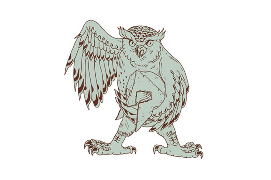 Owl Holding Spartan Helmet Drawing in Illustrations - product preview 8