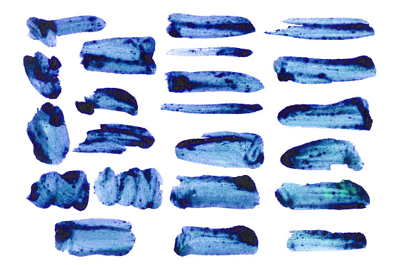 22 Watercolor blueberry brushes. in Photoshop Brushes - product preview 1