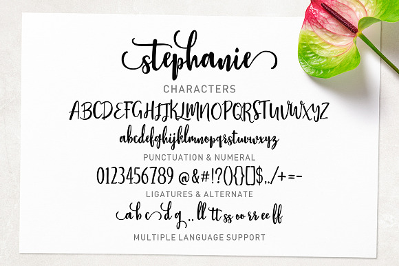 Stephanie Script in Script Fonts - product preview 10