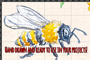 49 Honey Bee Watercolor Elements