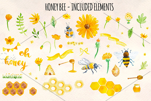 49 Honey Bee Watercolor Elements in Illustrations - product preview 1