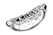 Hot dog engraving vector illustration