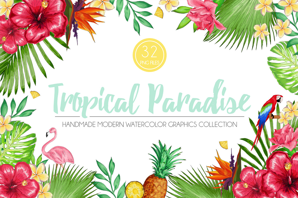 Tropical Paradise Graphic Set in Illustrations - product preview 8