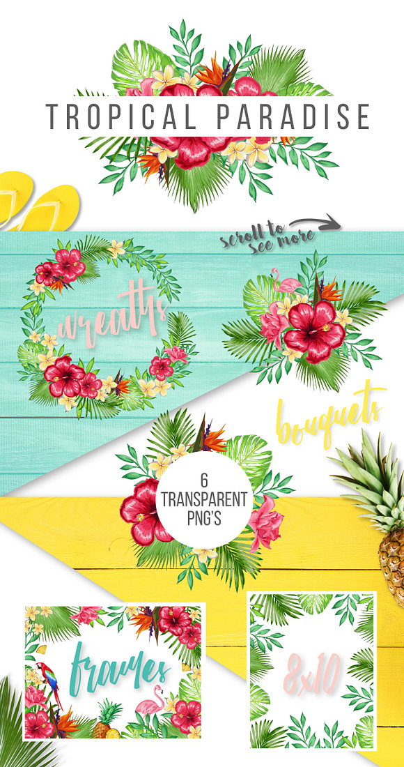 Tropical Paradise Graphic Set in Illustrations - product preview 2