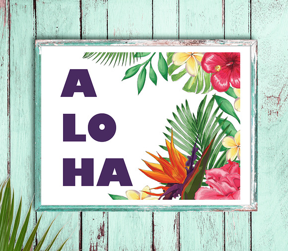 Tropical Paradise Graphic Set in Illustrations - product preview 3