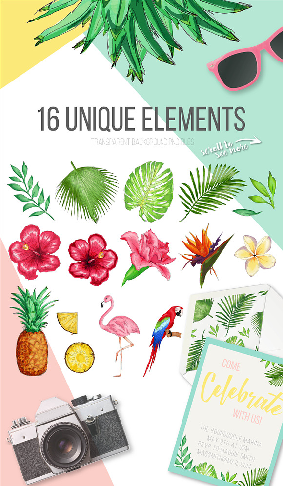 Tropical Paradise Graphic Set in Illustrations - product preview 4