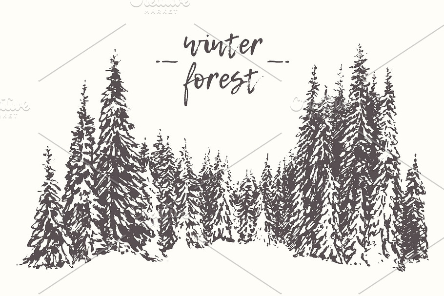 Winter pine forest in Illustrations - product preview 8