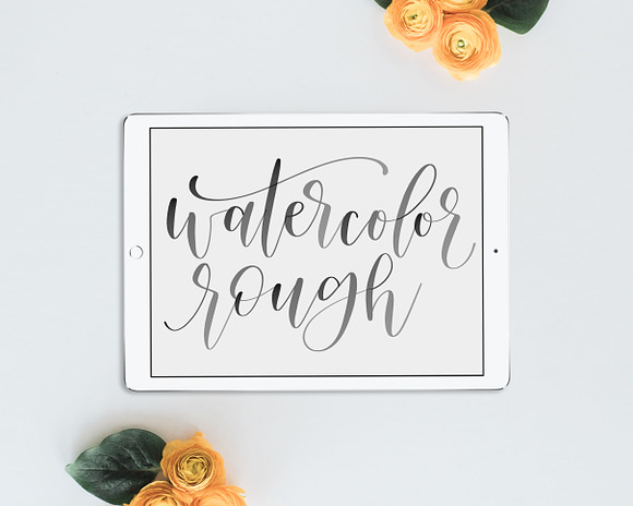 iPad Lettering - Watercolor Rough in Photoshop Brushes - product preview 4