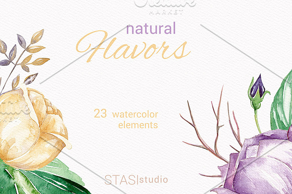 Watercolor Floral Clipart in Illustrations - product preview 2