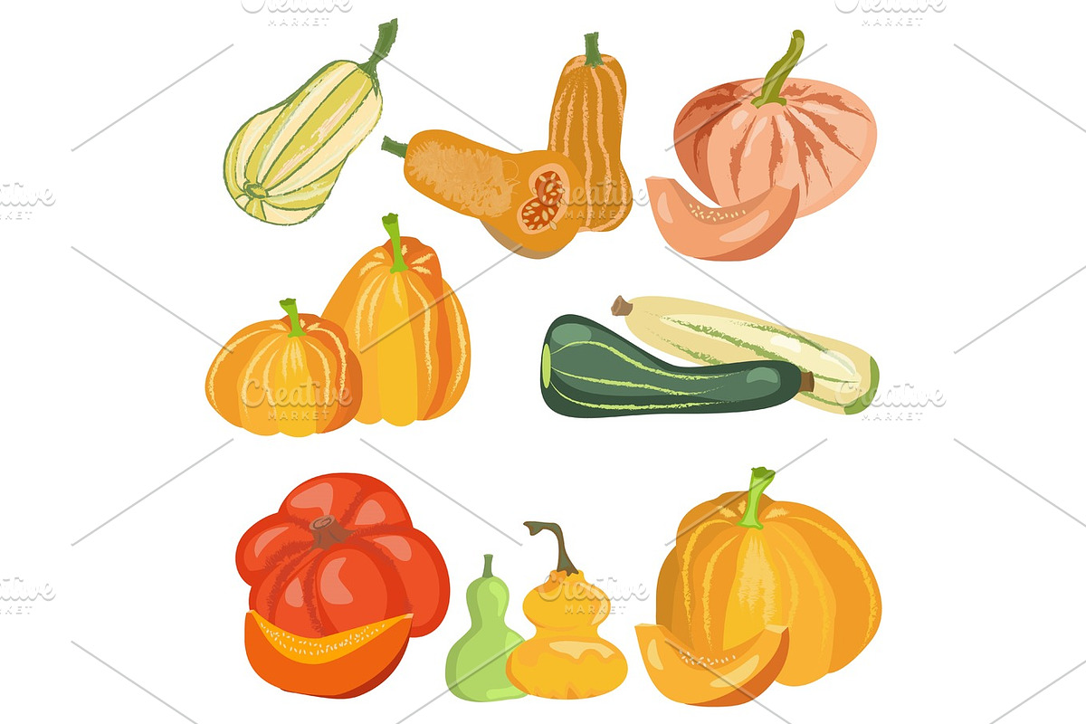 Autumn set pumpkin isolated on white background in Illustrations - product preview 8